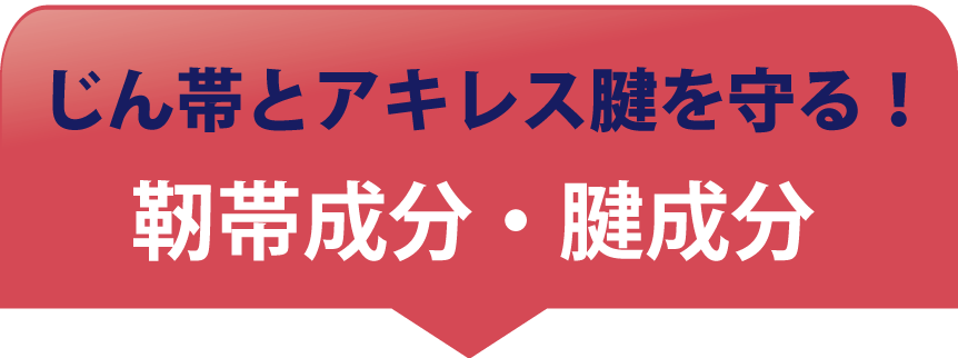 じん帯を守るバナー